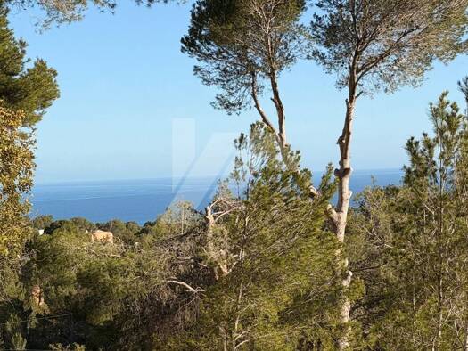Grundstück zum Kauf 190.000 € 2.120 m² Grundstück Altea la Vella 03599
