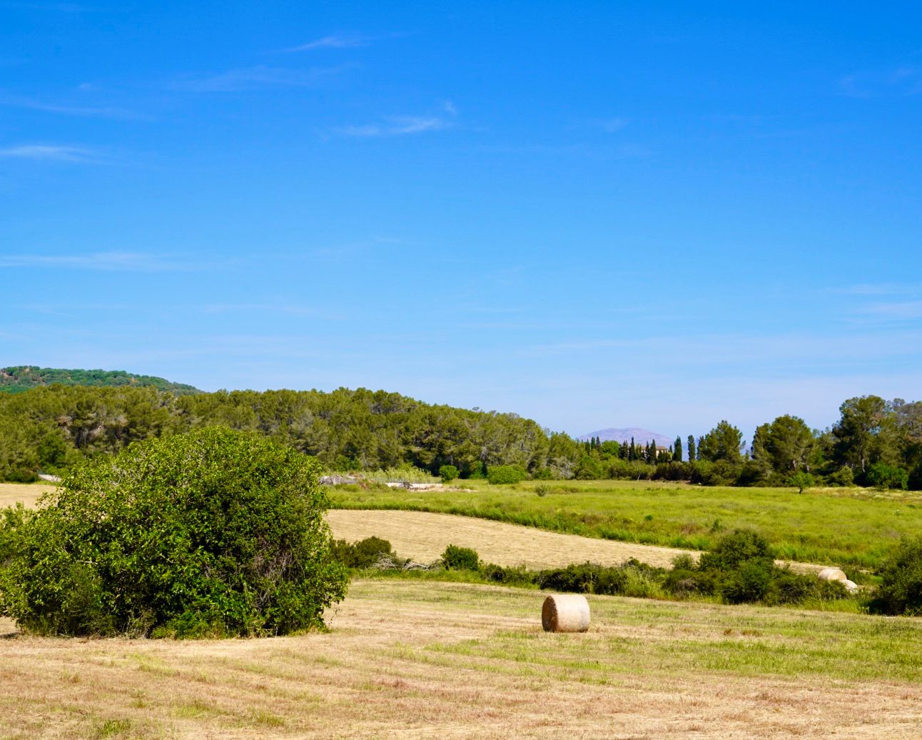 Grundstück zum Kauf provisionsfrei 269.000 € 14.700 m²<br/>Grundstück vorhanden<br/>Baugenehmigung Sant Joan Mallorca