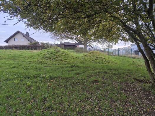 Grundstück zum Kauf 65.000 € 1.985 m² Grundstück Sistig Kall 53925