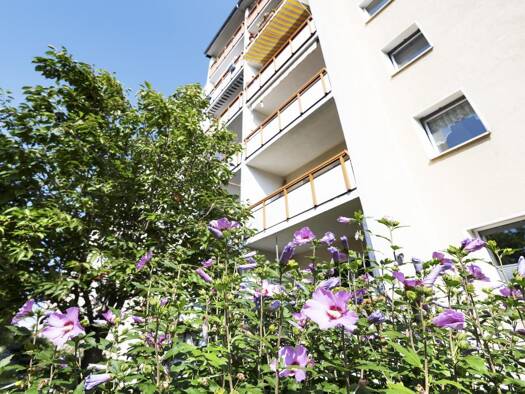 Wohnung zur Miete 315 € 2 Zimmer 39,3 m² EG Seffnerstraße 10 Lausen-Grünau West 04207