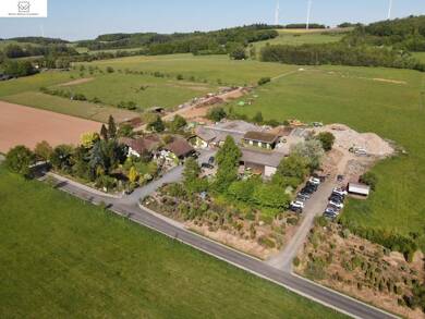 Mehrfamilienhaus zum Kauf 1.299.999 € 18 Zimmer 513 m² 29.887 m² Grundstück Wallroth Schlüchtern 36381