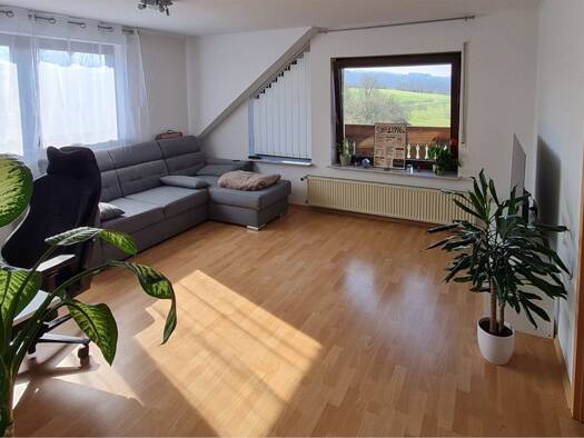 Wohnung zur Miete 528 € 2 Zimmer 53 m² Geschoss 2/3 frei ab sofort Damscheid 55432