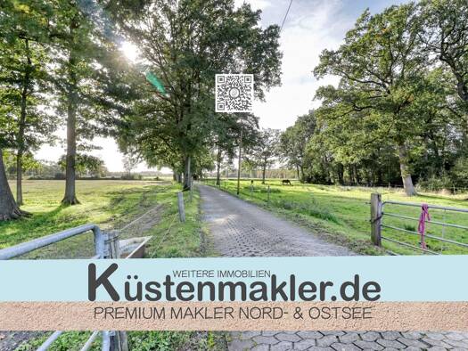 Haus zum Kauf 349.000 € 10 Zimmer 273,9 m² 38.738 m² Grundstück Steinau 21775
