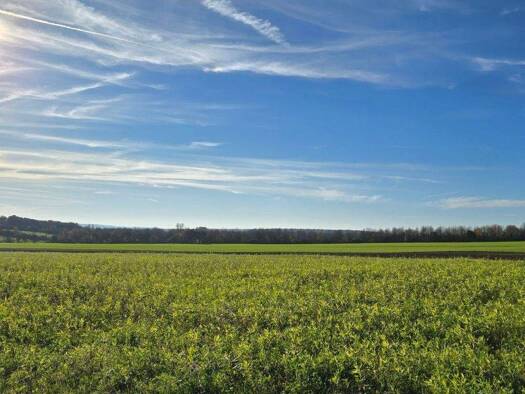 Grundstück zum Kauf 958.000 € 10.650 m² Grundstück Trier-Nord Trier / Biewer 54293