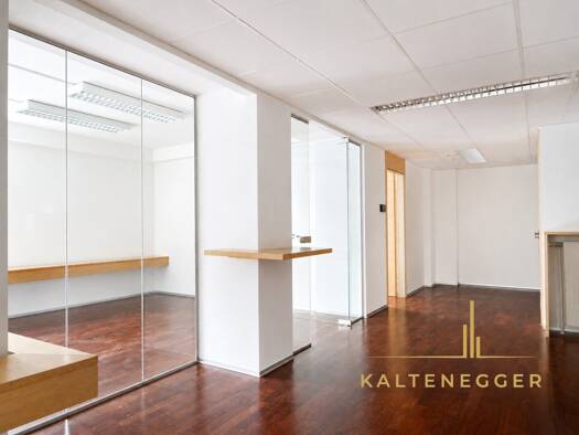 Büro zur Miete 1.158 € 3 Zimmer 96,7 m² Bürofläche Heiligenstädter Straße Döbling 1190