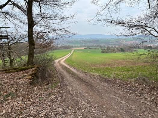 Land-/Forstwirtschaft zum Kauf Reichensachsen Wehretal 37287