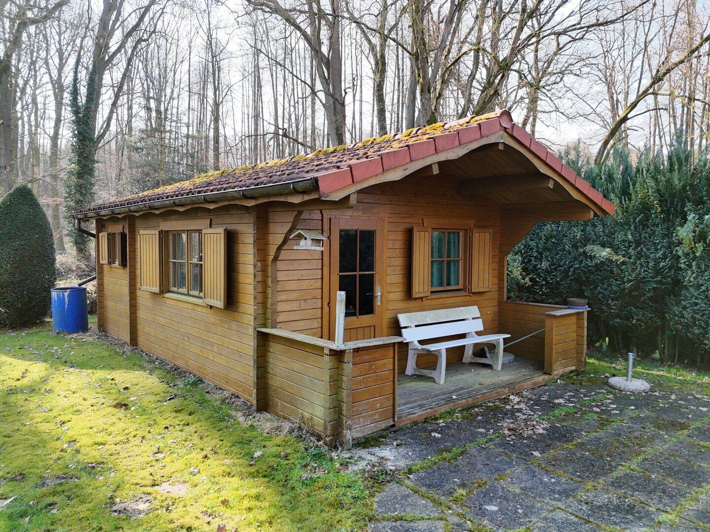 Immobilie in Bruchhausen-Vilsen - Schmuckes Wohnhaus in herrlicher Alleinlage am Wald bei Bruchhausen-Vilsen - Bild 4