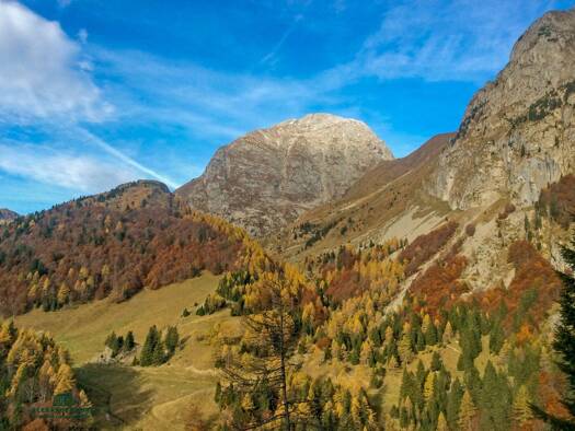 Forstwirtschaft zum Kauf 7.000.000 m² Grundstück Palutsch 33026