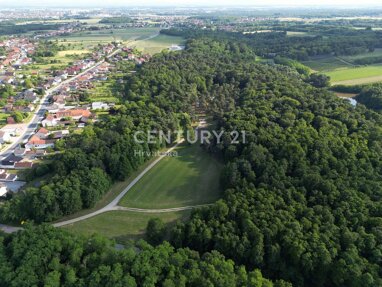 Land-/Forstwirtschaft zum Kauf 800.000 € Mackovec