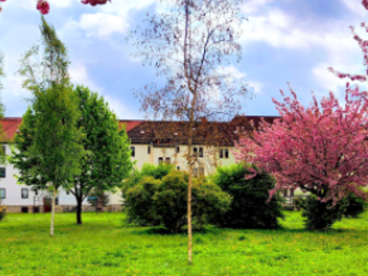 Wohnung zur Miete 438 € 3 Zimmer 73 m² 3. Geschoss Bodenweg 18, 3.Etage Meiningen 98617