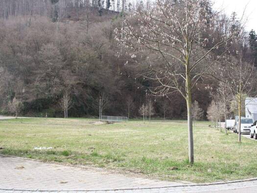 Grundstück zum Kauf 129.100 € 369 m² Grundstück Hausen im Wiesental 79688