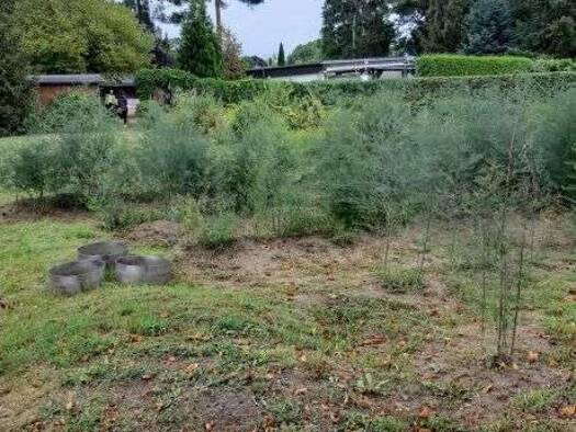 Grundstück zum Kauf provisionsfrei 199.900 € 499 m² Grundstück Ludwigsfelde 14974