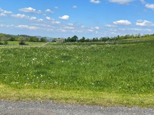 Grundstück zum Kauf 1.800 € 800 m² Grundstück Fuchshofener Straße Reifferscheid 53520