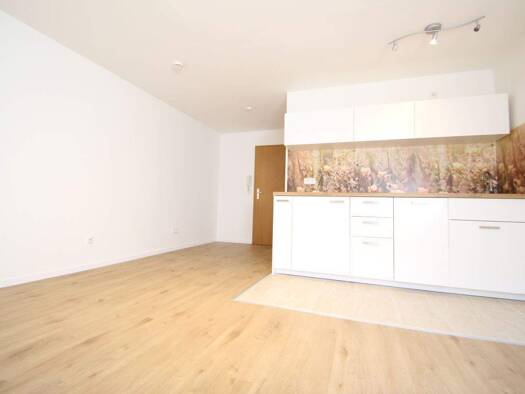 Studio zur Miete 435 € 1 Zimmer 29 m² 2. Geschoss frei ab 01.04.2026 Zell Zell am Harmersbach 77736