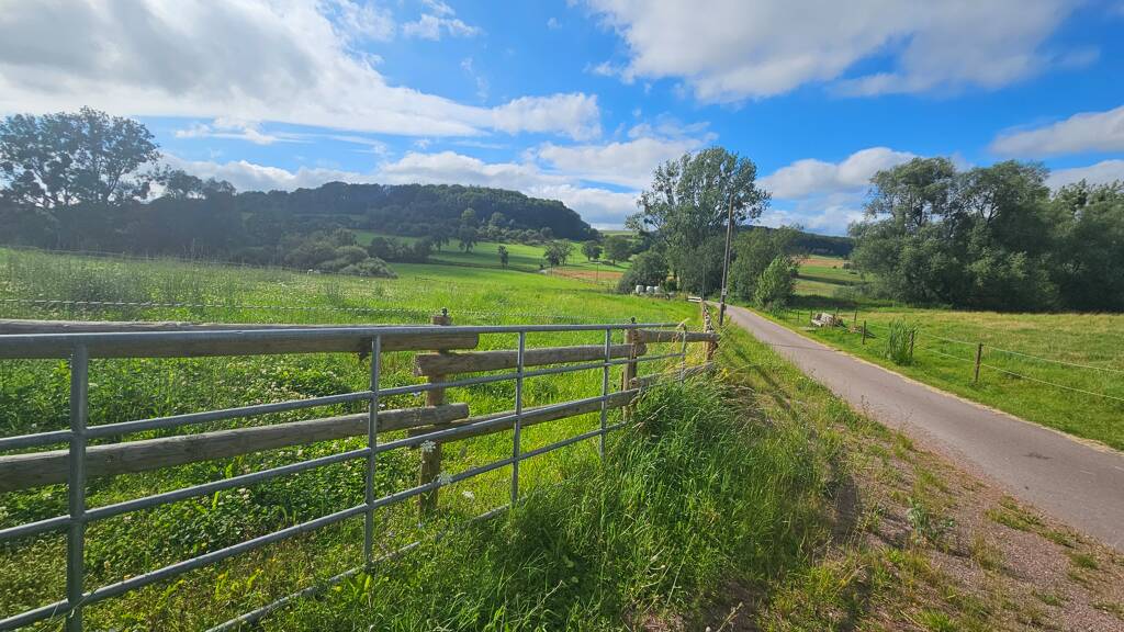 Grundstück zum Kauf 345.000 € 4.200 m² Grundstück Körrig Merzkirchen 54439