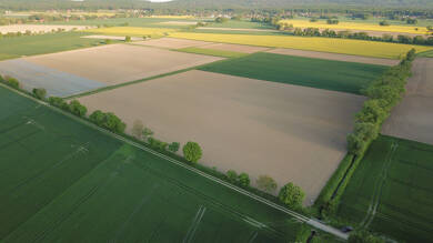 Land-/Forstwirtschaft zum Kauf 175.000 € 17.500 m² Grundstück Kernstadt Stadthagen 31655