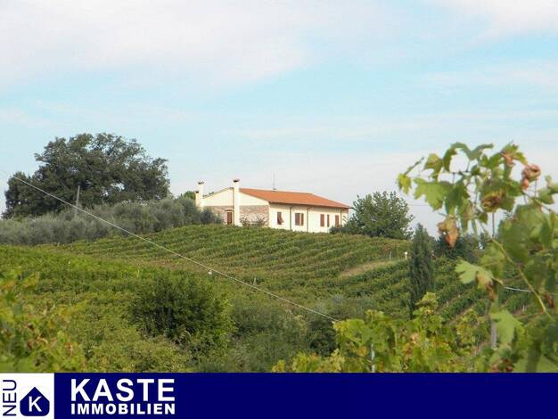 Haus zum Kauf 1.550.000 € 2 Zimmer 700 m² 120.000 m² Grundstück Selvatelle 56030