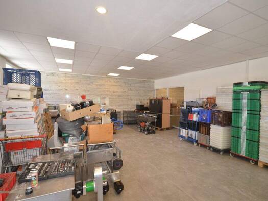 Produktionshalle zur Miete 20 € 100 m² Lagerfläche Sollenau 2601