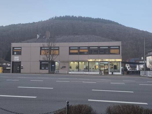 Gewerbeobjekt zum Kauf 1.800.000 € 1 Zimmer frei ab sofort Bahnhofstraße 26 Neckargemünd Neckargemünd 69151