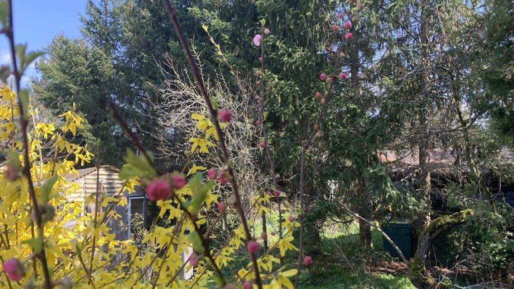 Grundstück zum Kauf 269.900 € 650 m² Grundstück Lützschena-Stahmeln Leipzig 04159