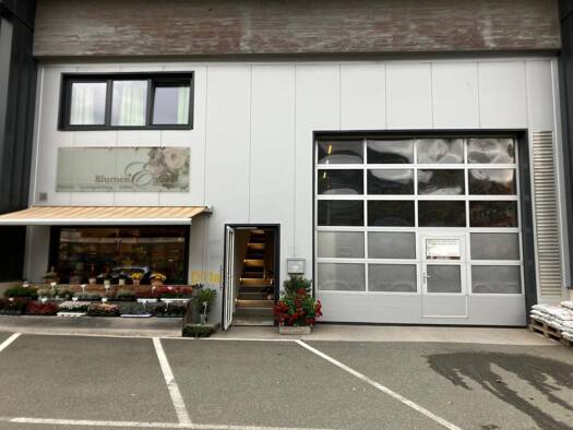 Lagerhalle zum Kauf 703.000 € 387,3 m² Lagerfläche Hallein 5400