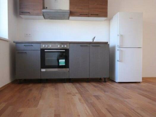 Wohnung zur Miete 420 € 2 Zimmer 41,2 m² EG Böheimkirchen 3071