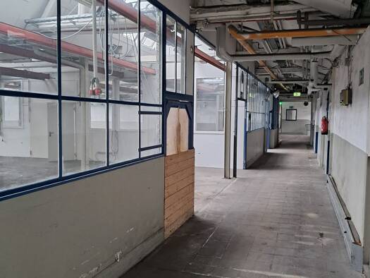 Lagerhalle zur Miete 4,50 € 200 m² Lagerfläche Niederense Ense 59469