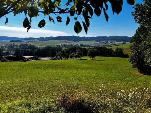 Grundstück zum Kauf 71.000 € 800 m² Grundstück Wolfsegg am Hausruck 4902