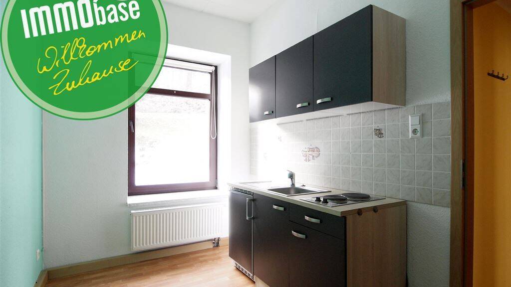 Wohnung zur Miete 280 € 2 Zimmer 48,2 m² EG frei ab sofort Mittweida 09648