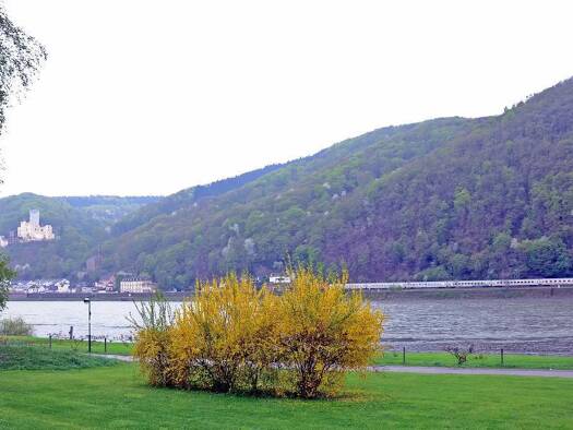 Wohnung zum Kauf provisionsfrei 113.400 € 2,5 Zimmer 110 m² frei ab sofort Johannesstraße Niederlahnstein Lahnstein 56112