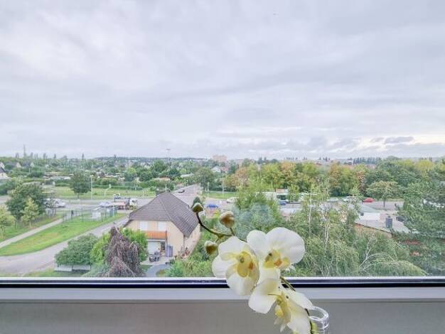 Wohnung zur Miete 491 € 2 Zimmer 70,2 m² 5. Geschoss Ulnerstraße 8 Neustädter Feld Magdeburg 39128