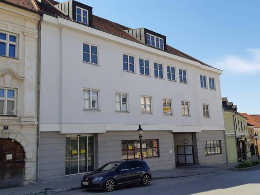 Laden zur Miete 594 € 132 m² Verkaufsfläche Hauptplatz Horn 3580