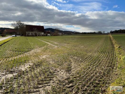 Land-/Forstwirtschaft zum Kauf 190.000 € 3.690 m² Grundstück Schainbach Ehekirchen / Schainbach 86676