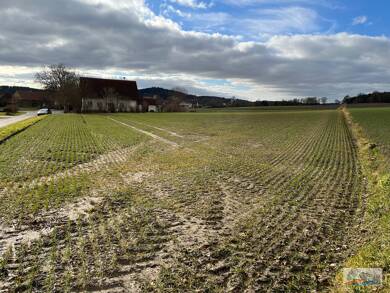 Land-/Forstwirtschaft zum Kauf 190.000 € 3.690 m² Grundstück Schainbach Ehekirchen / Schainbach 86676