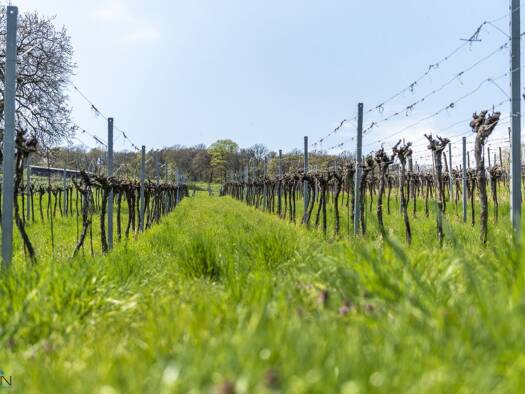 Grundstück zum Kauf 794.260 € 1.052 m² Grundstück Klosterneuburg 3400