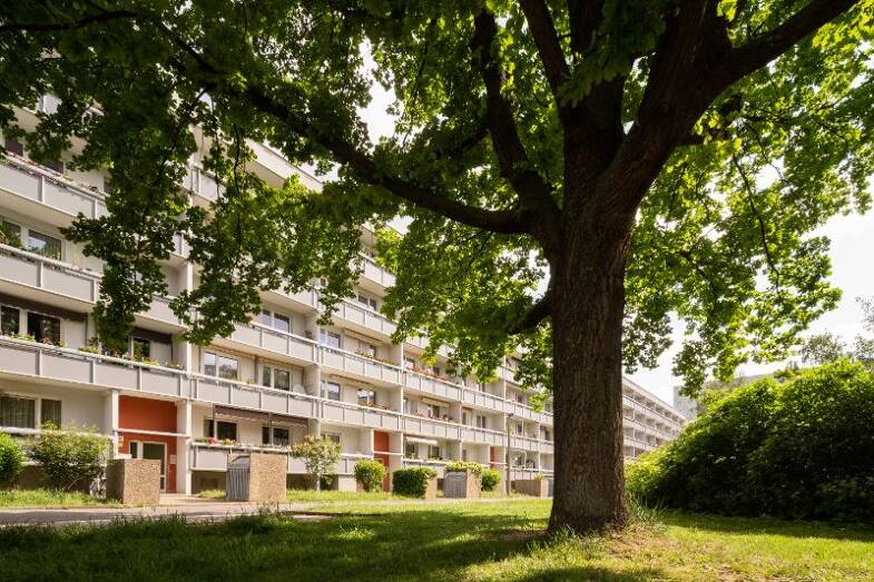 Wohnung zur Miete 487 € 3 Zimmer 64,9 m² 1. Geschoss frei ab 01.07.2025 Hyazinthenstraße 36 Nördliche Neustadt Halle 06122