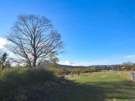 Land-/Forstwirtschaft zum Kauf 120.000 € 3.560 m² Grundstück Darlingerode 38871