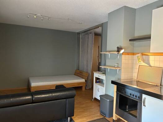 Wohnung zur Miete 400 € 1 Zimmer 29 m² Geschoss 2/3 frei ab 01.01.2026 Heiligkreuz Trier 54295