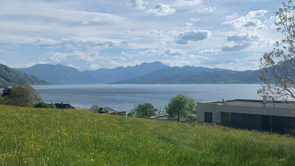 Grundstück zum Kauf 1.200.000 € 802 m² Grundstück Steinwand Weyregg am Attersee 4852