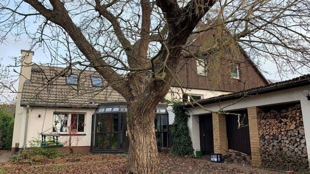 Grundstück zum Kauf 718.000 € 1.824 m² Grundstück Zepernick 16341