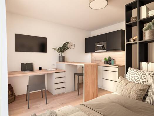 Wohnung zum Kauf - Erstbezug provisionsfrei 165.900 € 1 Zimmer 25,9 m² EG Birken Bayreuth 95447