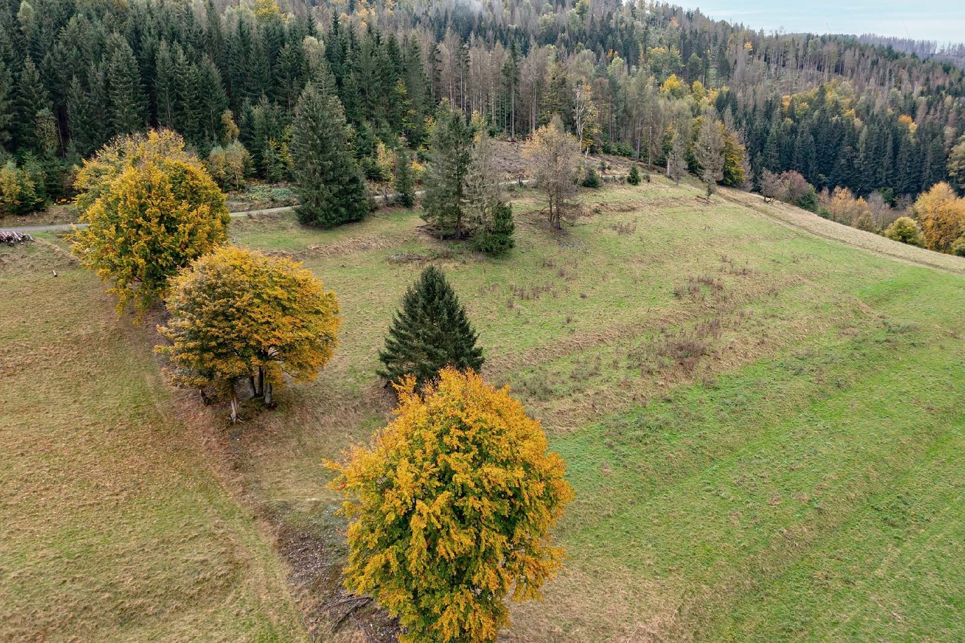 Grundstück zum Kauf 1.000 € 2.027 m²<br/>Grundstück Schnetter Straße 1 Schönbrunn Schleusegrund 98667