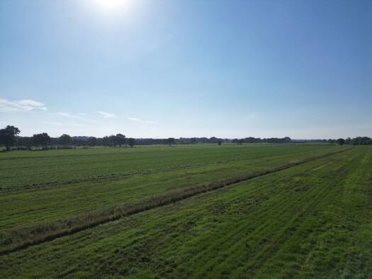 Landwirtschaftliche Fläche zum Kauf 134.462 € 38.923 m² Grundstück Bundesstraße Hohnstorf Hohnstorf (Elbe) 21522