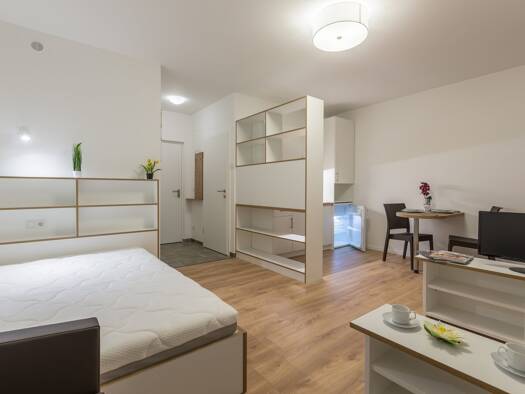 Wohnung zur Miete 519 € 1 Zimmer 30 m² Viktor-Franz-Hess-Straße Wiener Neustadt 2700