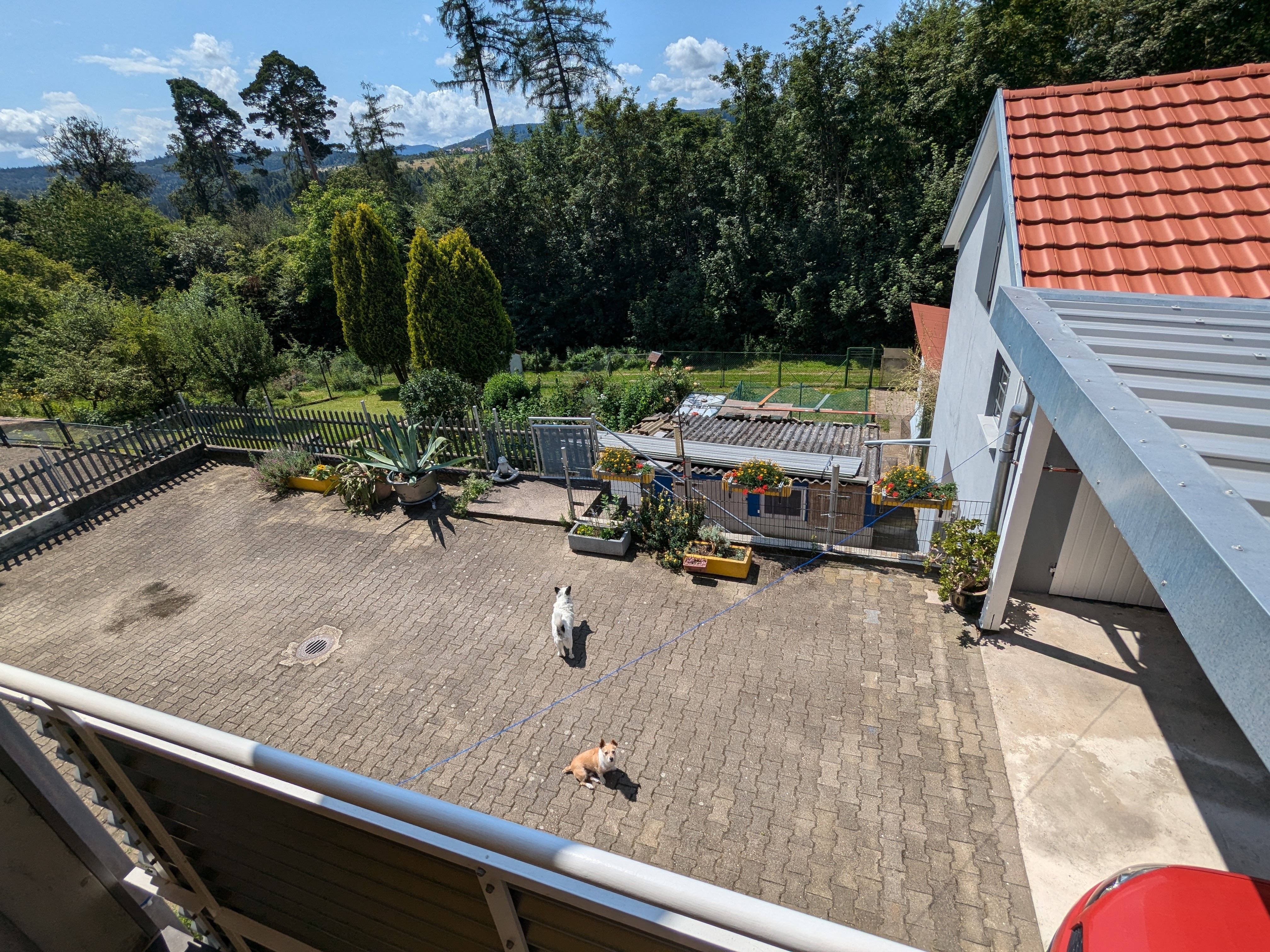 Mehrfamilienhaus zum Kauf 926.500 € 8 Zimmer 260 m²<br/>Wohnfläche 669 m²<br/>Grundstück Pfaffenrot Marxzell 76359