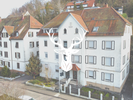 Wohnung zum Kauf 199.000 € 3 Zimmer 78,5 m² 2. Geschoss Waldshut Waldshut-Tiengen 79761