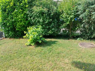 Terrassenwohnung zur Miete 710 € 3 Zimmer 75 m² frei ab sofort Leibi Nersingen 89278
