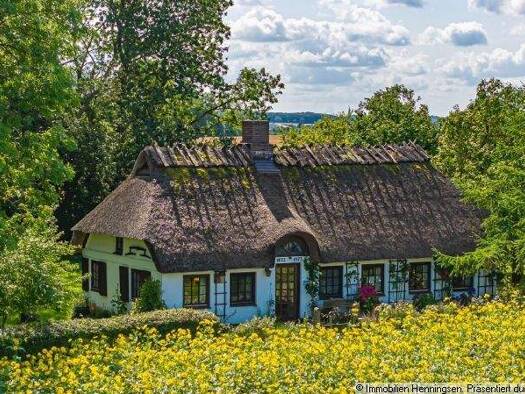 Haus zum Kauf 329.000 € 5 Zimmer 95 m² 17.580 m² Grundstück Steinbergkirche 24972