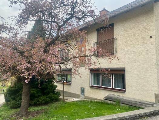 Wohnung zur Miete 545 € 2 Zimmer 55 m² Payerbach 2650