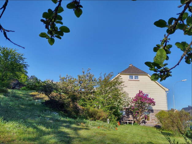 Einfamilienhaus zum Kauf provisionsfrei 129.000 € 6 Zimmer 111 m² 1.842 m² Grundstück Neuhaus Selbitz 95152